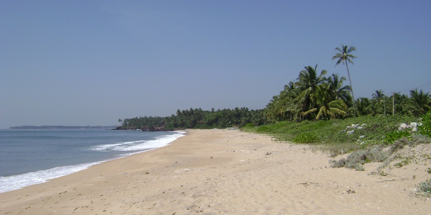 Waves crashing the golden shores of the beach with palm trees at the back, offering a ideal coastal view