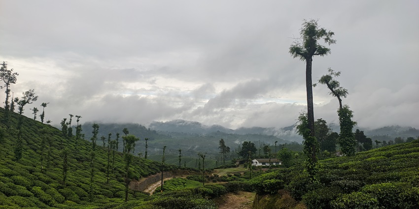 Panoramic snapshot of the beautiful hills of Thrissur– Best time to visit Thrissur Museum