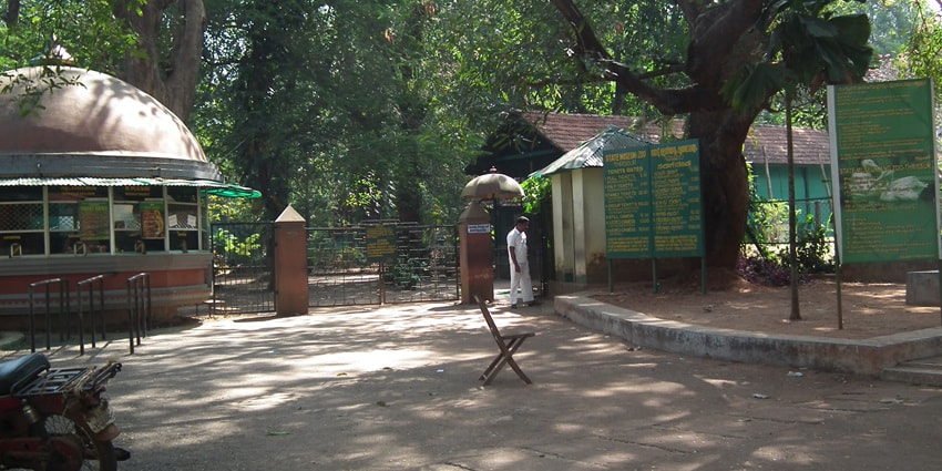 The scenic snapshot of the Thrissur Museum and Zoo Taken from a Distance, Thrissur