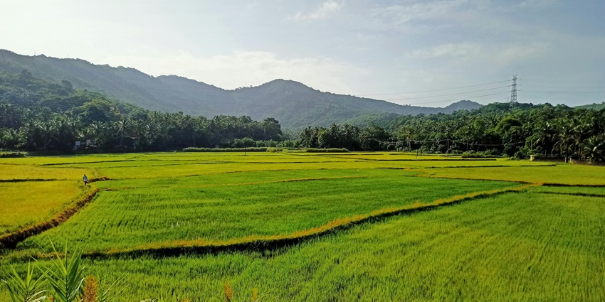 This temple is located in the Thrissur district which is easily accessible from road, rail or air