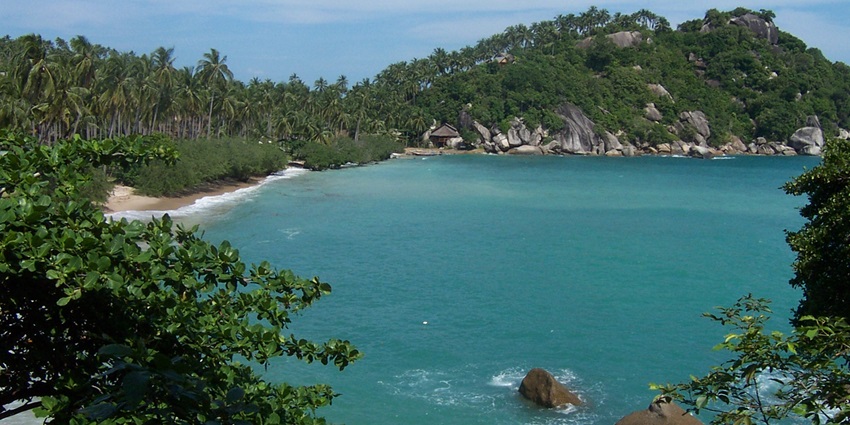 An image of a lush green landscape and turquoise waters at the pristine Tien Beach.