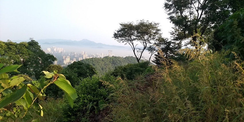 Tiger Hill is a popular hill station offering some lovely panoramic views of the region.