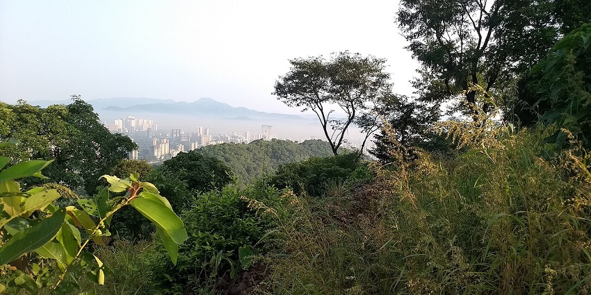 Tiger hill provides mesmerising views of the Kanchenjunga peak during sunrise.
