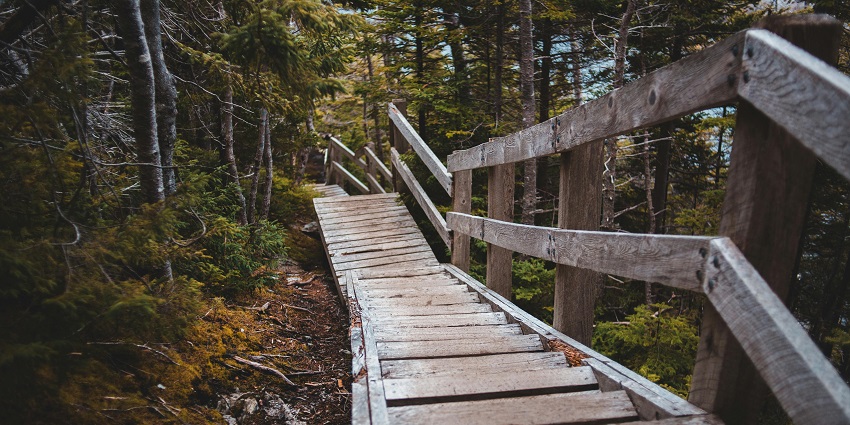 Take strolls on Timber trails located at the foot of the Himalayan Mountain Range.