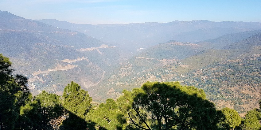 Wander though these mesmerising timber trails and also enjoy cable car rides offered here