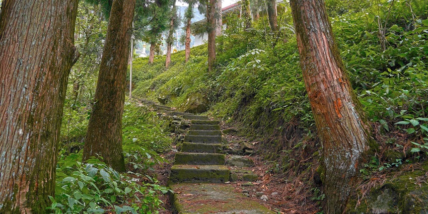 A scenic walking trail at a forest, located near the Tholung Monastery