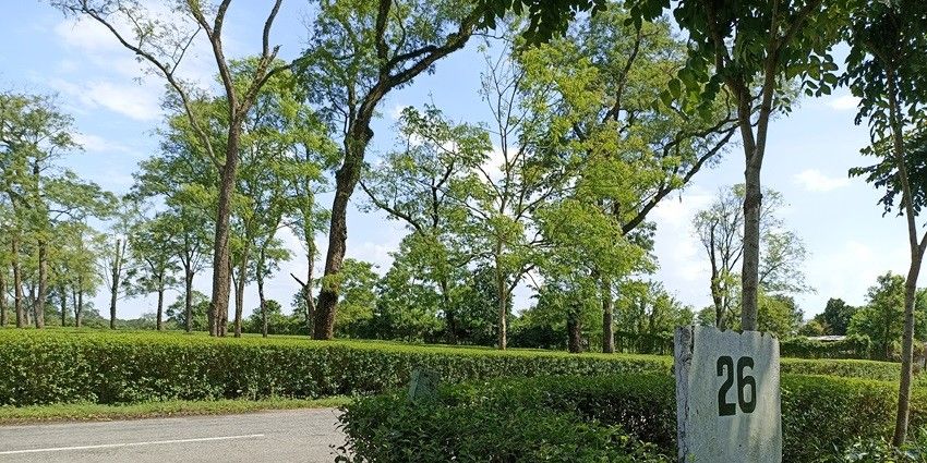 Tinsukia offers its tourists a perfect blend of natural beauty and cultural richness.