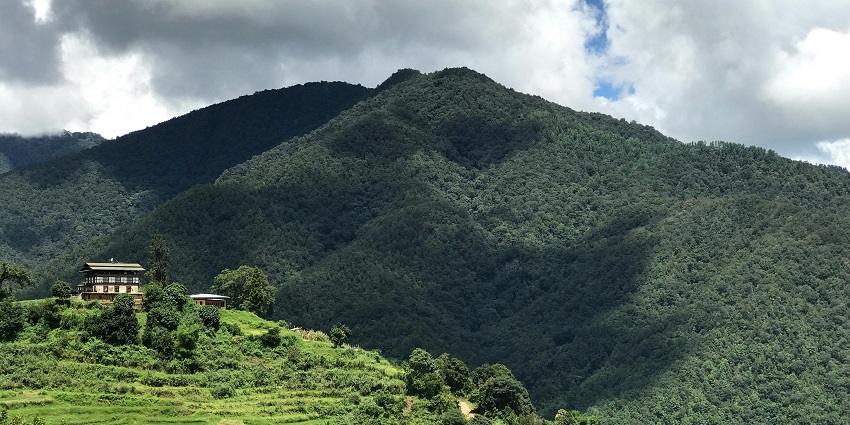 Beautiful snapshot of the hills of Tinsukia covered in with the greenery of Jungle