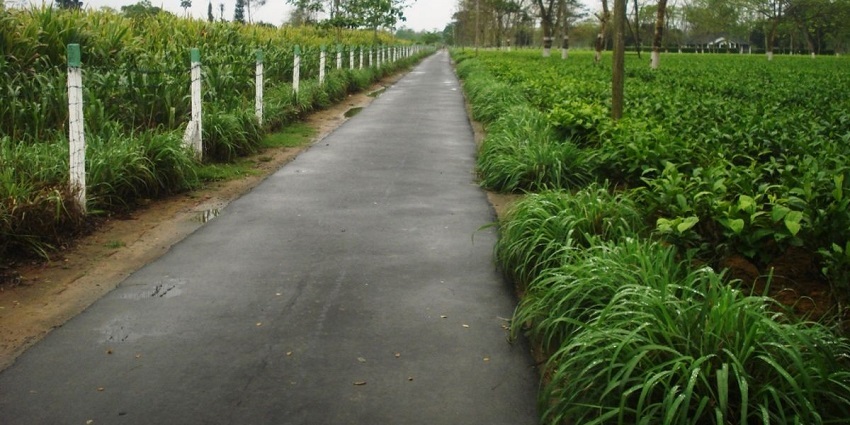 Tinsukia is one of the most beautiful and attractive places to visit near Dibrugarh.