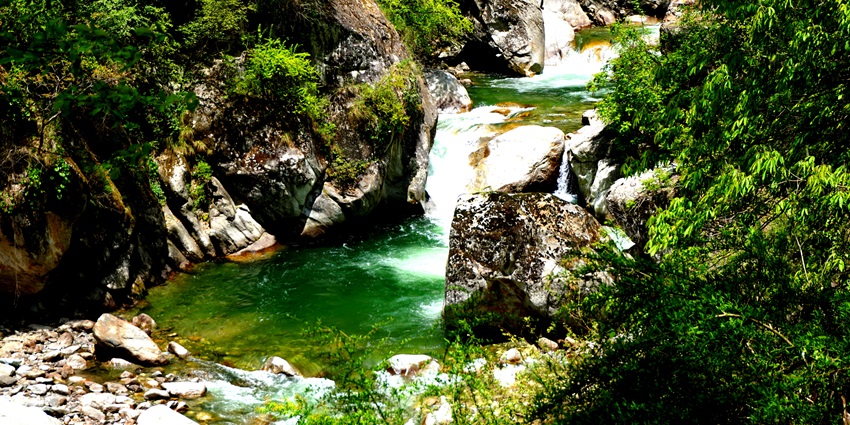 Tirthan river, one of the picturesque places to visit in Tirthan valley, has crystal clear water.