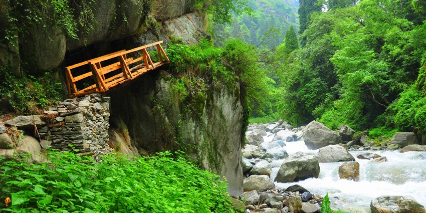 Wooden trekking bridge surrounded by lush greenery and forested mountain landscape.