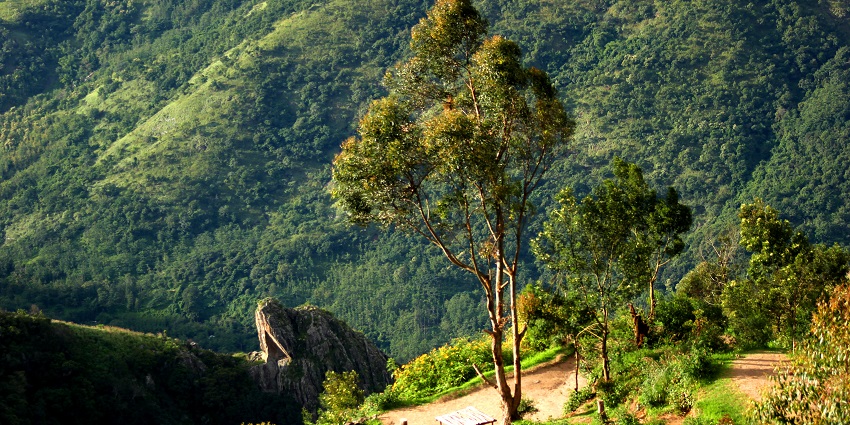 Top Station is one of the best places to visit after enjoying Paragliding in Munnar.