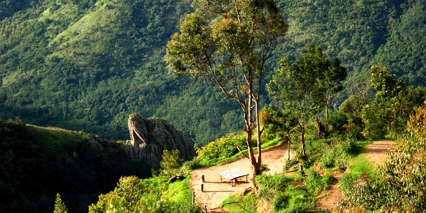Enjoy the breathtaking views from Top Station, one of the places to visit near Munnar.