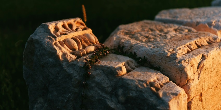 A close-up of an archaeological rock, captured in natural lighting, highlighting its intricate details and textures.