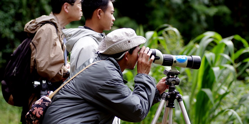Bird watching in Tholpetty wildlife sanctuary is a memorable experience due to its diverse avifauna