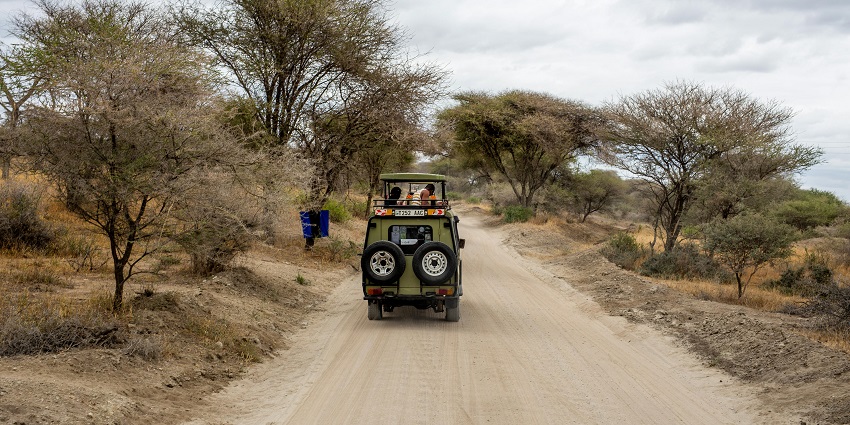 Jeep safari is the ideal adventure activity for travellers seeking a thrilling experience