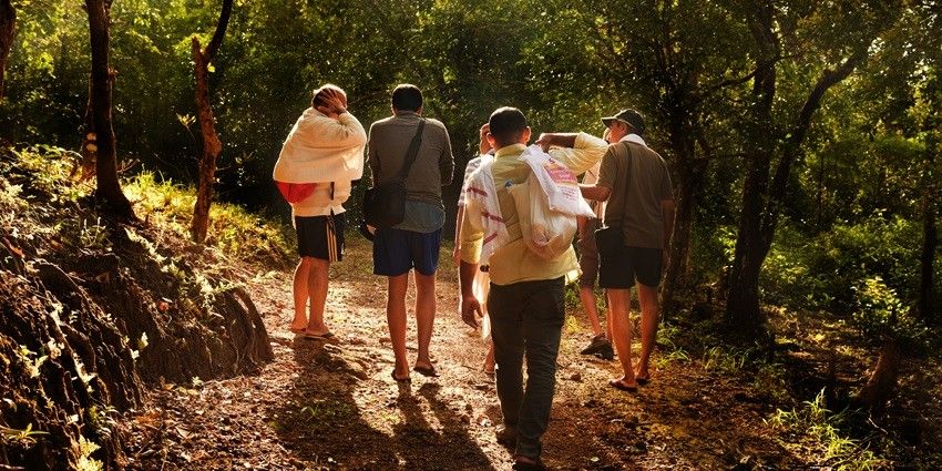 Munnar is the natural haven perfect for a new year celebration trekking and watching fireflies