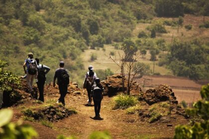 Trekking in Shimla is an unmissable experience while on an adventure to Himachal Pradesh