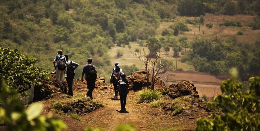 Trekking in Shimla is an unmissable experience while on an adventure to Himachal Pradesh