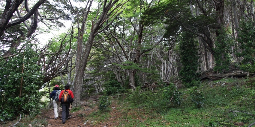 Trekking in this park is a must for all adventurous travellers unveiling its wildlife and stunning views
