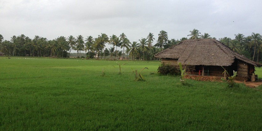 Image of a Traditional hill house of Malappuram surrounded by lush beautiful greenery