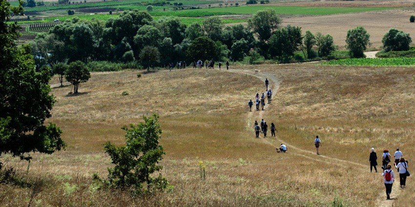 People walking along a scenic trail, surrounded by natural beauty and greenery.