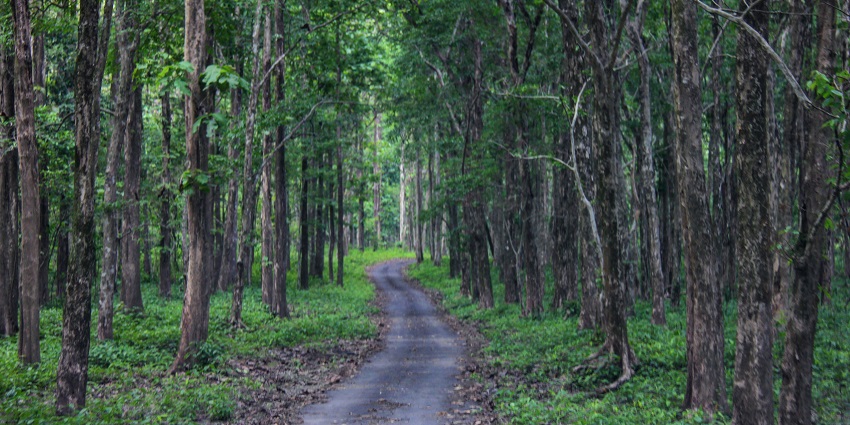Wandering through the trails of this wildlife sanctuary is a refreshing experience