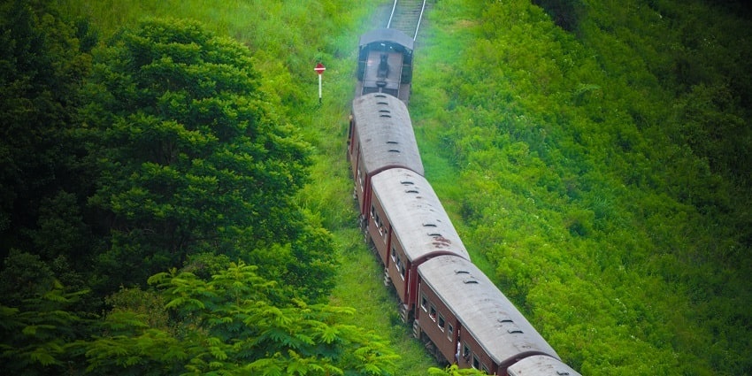 Enjoy a romantic train ride from Kandy to Ella for a scenic tour of these tea plantations