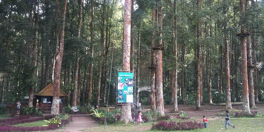 A park with tall trees and a variety of adventure sports in Bali