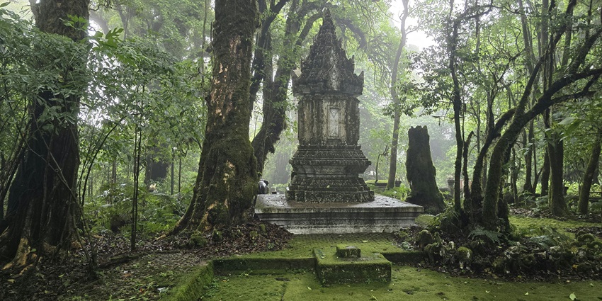 Enjoy the trekking trails through waterfalls, forests, and Thailand’s highest peak.