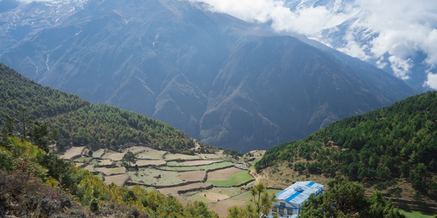 This trek offers picturesque sights of the Himalayan ranges amidst emerald fields