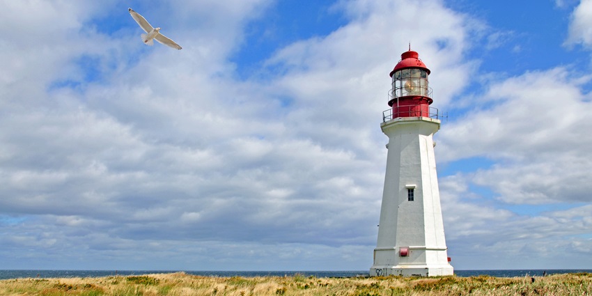 Adventure enthusiasts can trek their way to the lighthouse as the trail offers scenic views.