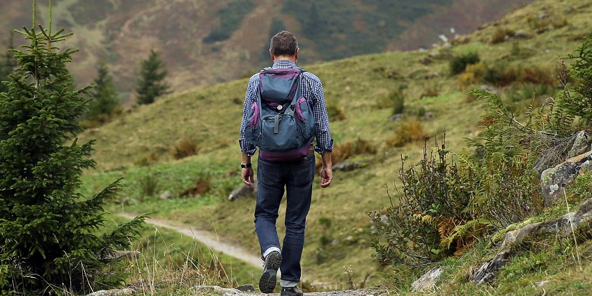 Take a stroll through the paths of Nokrek National Park, located in Meghalaya, India.