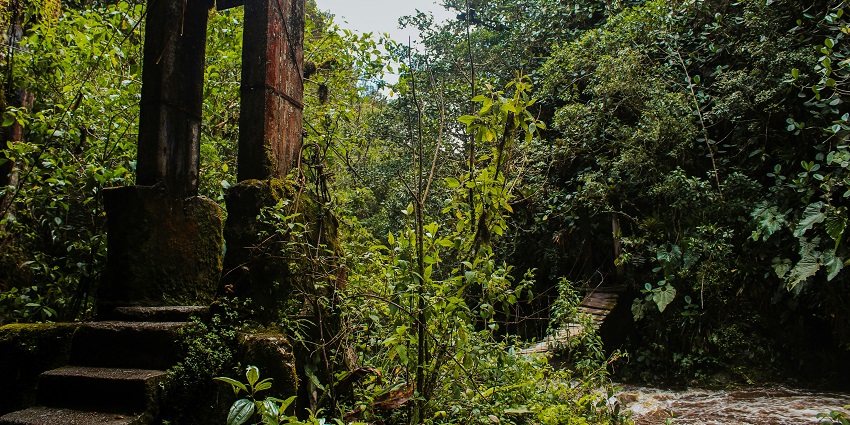 Trek to Ilanjippara Waterfalls while witnessing the lush green of the surroundings.