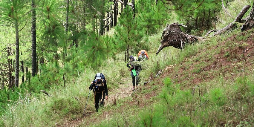 Indulge in some adventure with trekking and have a bash with a New Year party in Shimla.