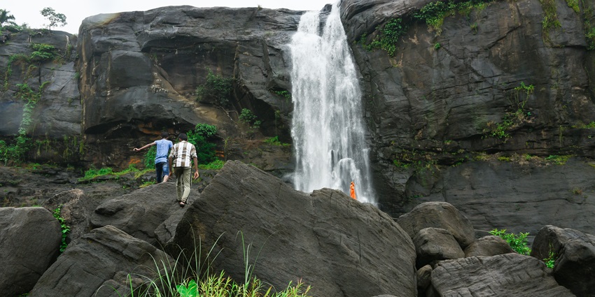 Trek among the lush green trails and streams near the largest waterfall in Kerala.
