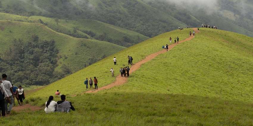 Karol Tibba has trekking trails through dense forests of chir and deodar trees.
