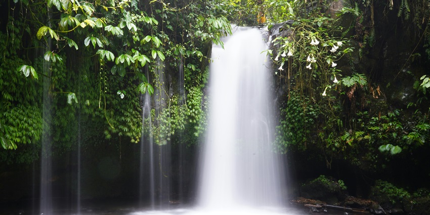 Tumburu Theertham Falls are among the most beautiful waterfalls in Tirupati region.