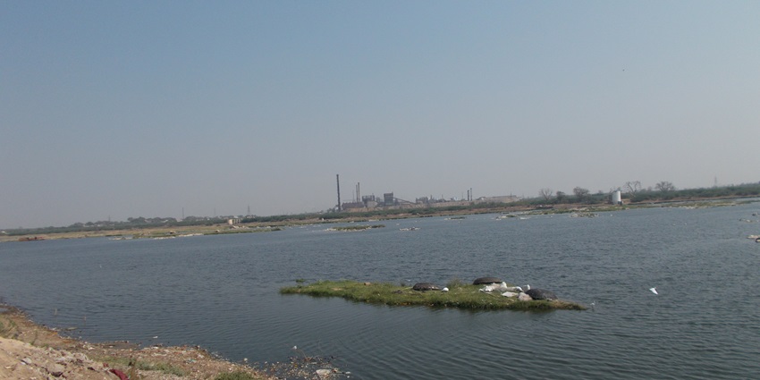 Exploring the serene Tungabhadra River Ghat is one of the top things to do in Kurnool.