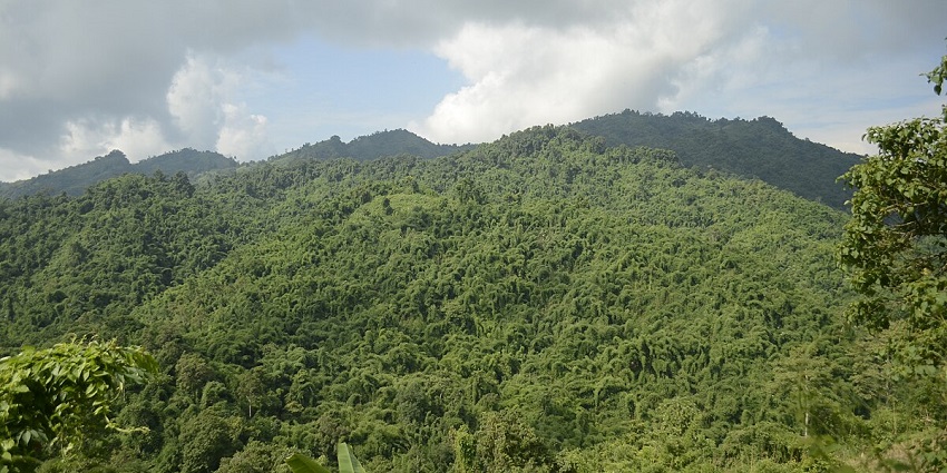 Tuеnsang is the best place to understand the culture and tradition of Naga tribes.