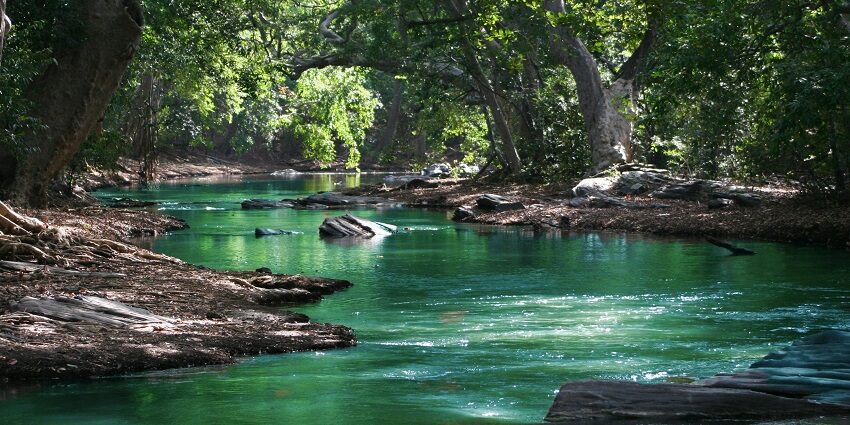 Twin Lakes provide a serene environment for the tourists for a stroll and relaxation.