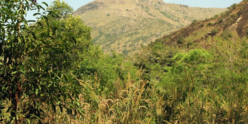 Udayagiri Fort is located in the Nellore district of Andhra that stands at an altitude of 3079 feet