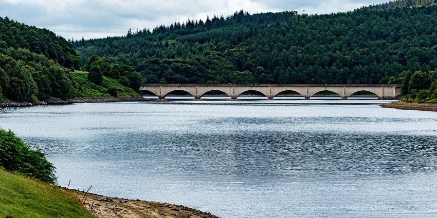 A glimpse of shimmering waters surrounded by lush greenery at the Uhl Reservoir.