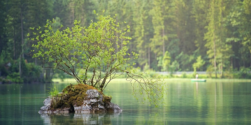 Image of a lake around lush green trees - One of the best places to visit in Mawsynram