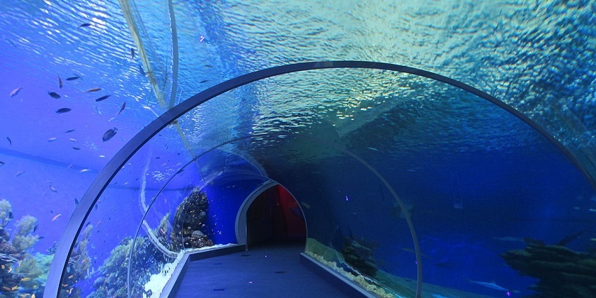 Beautiful underwater aquarium one of the best places to visit in Pattaya with family
