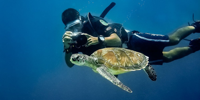 The waters are home to various hard and soft corals, with a variety of fish, apt for photography.