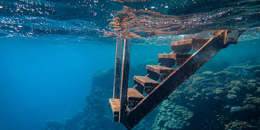 A mesmerising underwater view of wooden stairs and coral reefs amidst clear blue water.