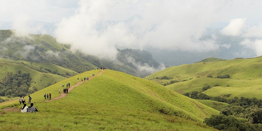 Unveil Gilbert’s Trail winding through pine forest with panoramic valley views and peaceful walking path, one of the best things to do in Solan.