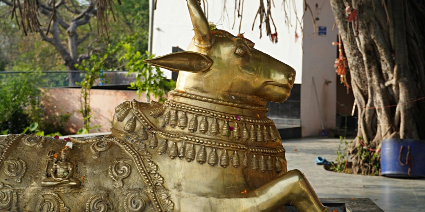 A glimpse of the Uppalapadu Chennakesava Swamy featuring a holy cow in gold hues.