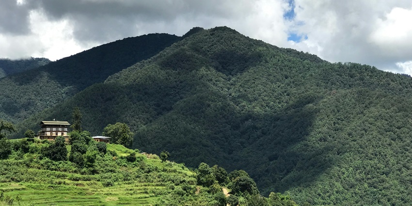 A serene view of majestic peaks covered with greenery and luscious terraced fields.